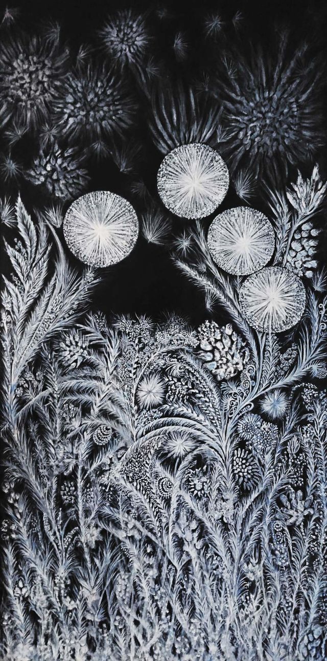 Wit-op-zwarte tekening van pluizenbollen van paardenbloemen boven nachtelijk gras